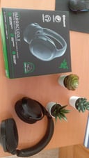 IMG_65ca051939be3_20240212114633236514.jpeg