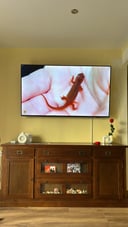 IMG_66c87e111e80b_20240823121825124938.