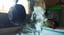 IMG_64aff83687886_20230713131222555141.jpeg
