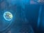 IMG_66bc9b80cf84b_20240814115648849994.