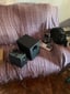 IMG_66eda07cd2f4f_20240920161908864077.jpeg